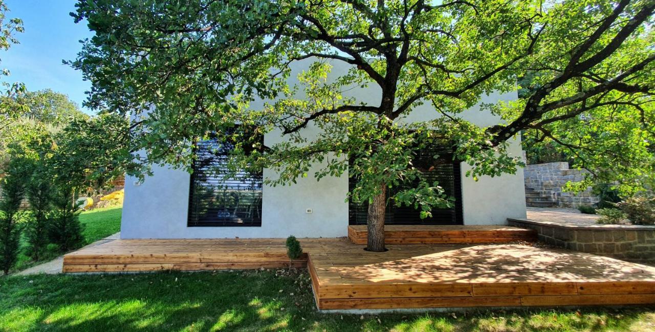 Vila House G Dekani Exteriér fotografie